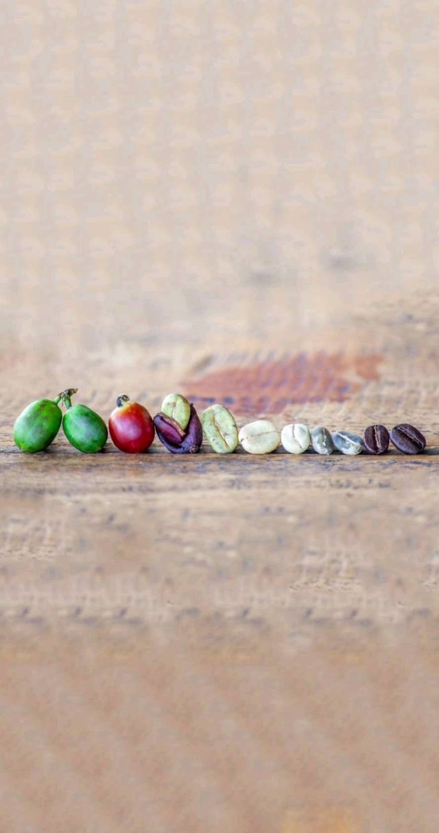 Puro Fairtrade Coffee from bean 🌱 to your cup ☕️

#puro #purocoffee #fairtrade #fairtradecoffee #purofairtradecoffee #savingtherainforest #co2neutral #sustainability #coffeelovers #coffeelover #coffee #rainforest #coffeeroasting #coffeeroasters #coffeeharvest #coffeefarmers #coffeefarm #greencoffee #coffeeoftheday #coffeedaily