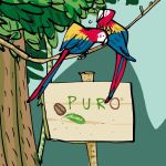 Puro Fairtrade Coffee