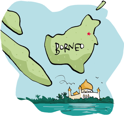 Borneo Rainforest Map